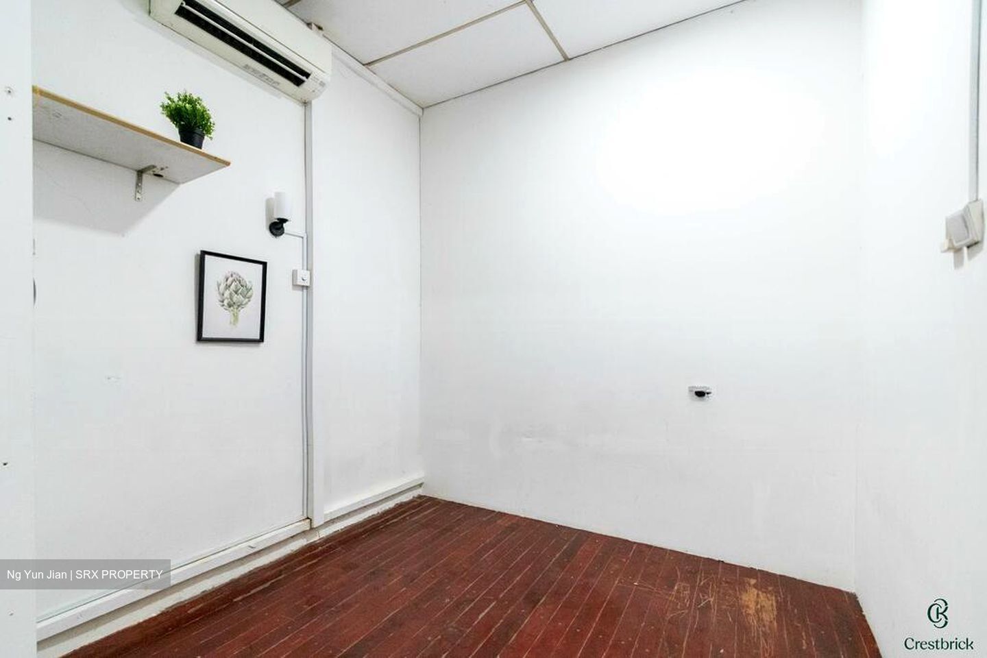 Jalan Besar Stadium (D8), Shop House #575749741